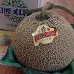 �k�C���@����������