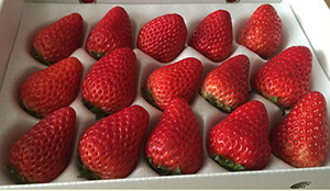 �������@�������